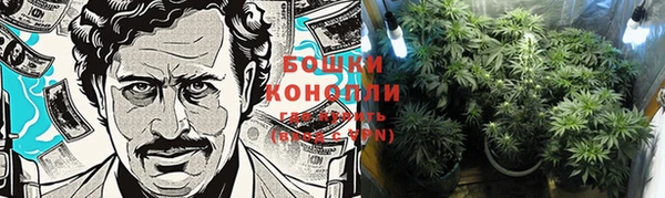 бошки Ступино