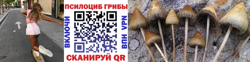 Купить закладки  Плавск  Псилоцибиновые грибы мухоморы 